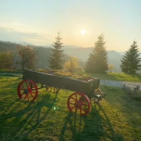 Agriturismo La Collina Del Sole * Varano Marchesi