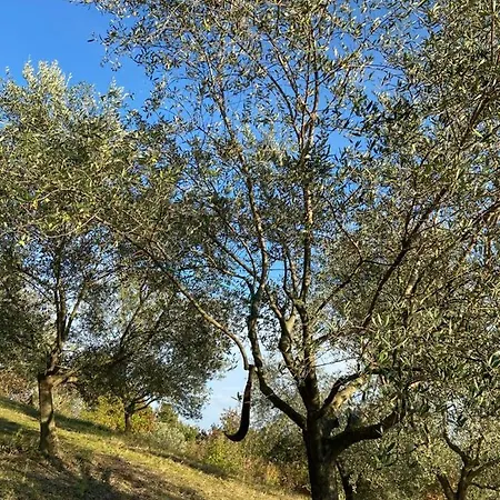 Agriturismo La Collina Del Sole Gospodarstwo agroturystyczne Varano Marchesi
