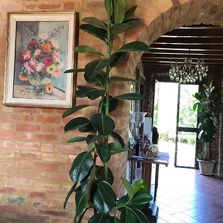 Farma Agriturismo La Collina Del Sole Varano Marchesi