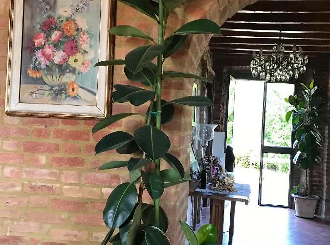 Alloggio per agriturismo Agriturismo La Collina Del Sole Varano Marchesi